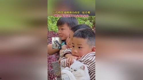 瓜哥吃瓜抓娃娃游戏视频,欢乐无限游戏瞬间