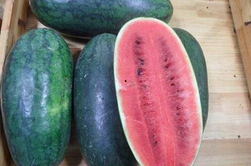 山东景区吃瓜女子视频大全,揭秘景区里的趣味瞬间