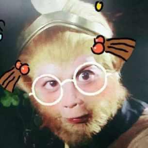 林妹吃瓜妹沙雕动画视频