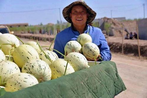 缅甸中国吃瓜群众视频,揭秘视频背后的故事与真相