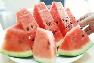 临沂吃瓜甜水事件视频,揭秘甜水村瓜农维权背后的真相