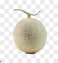 吃哈密瓜素材视频下载,视频素材下载回顾
