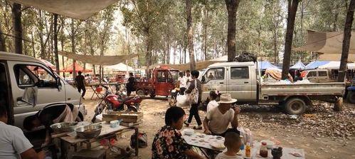 校园吃瓜集市事件视频在线观看,视频揭秘校园生活新热点