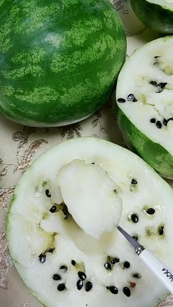 东北吃雪瓜视频,雪瓜冰爽之旅