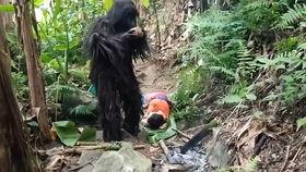 美女野人吃凉瓜视频,美味与野性的完美邂逅