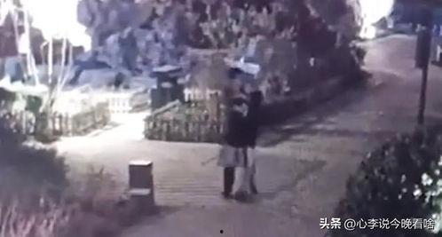 成都吃瓜视频完整版,揭秘网红美食背后的故事与真相