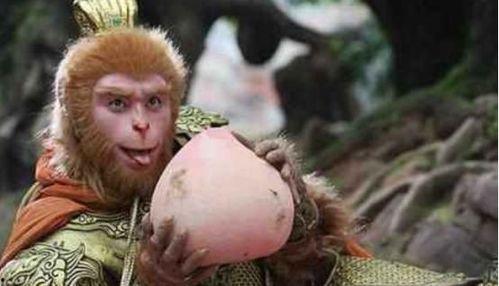 悟空吃瓜事件视频大全播放,视频大全带你领略网络热点的狂欢时刻